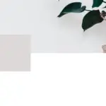 10 self-care activities to improve your mental health