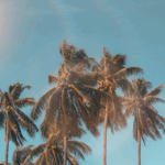Summer is here! 5 Compelling Reasons to Start Therapy This Summer
