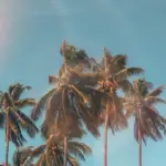 Summer is here! 5 Compelling Reasons to Start Therapy This Summer