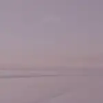 How to Access Free Therapy Through Your Employee Assistance Program (EAP)