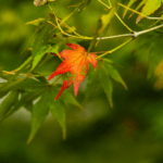 How Can Therapy Help When Families Are Going Through Major Life Transitions?